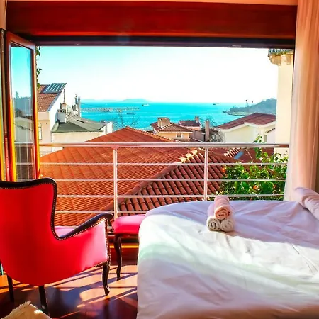 Pi House Villa, Seaview,garden * اسطنبول